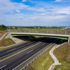 M44 gyorsforgalmi út Kunszentmárton – Csabacsűd 59+400 – 79+900 km szelvények közötti szakasz (II. szakasz) építése